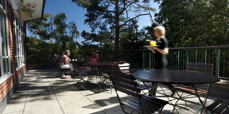 The Lodge At Meyrick Park Bournemouth Kültér fotó